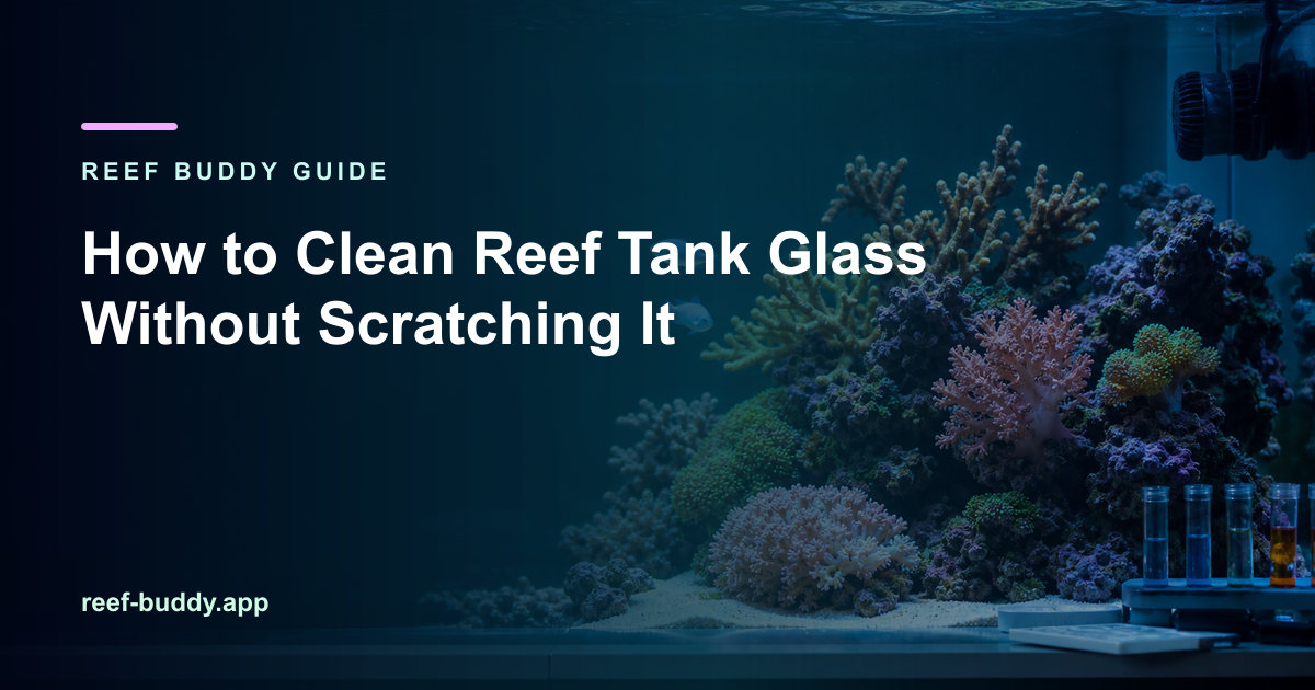 Reef Buddy article cover for “How to Clean Reef Tank Glass Without Scratching It” over a home reef aquarium