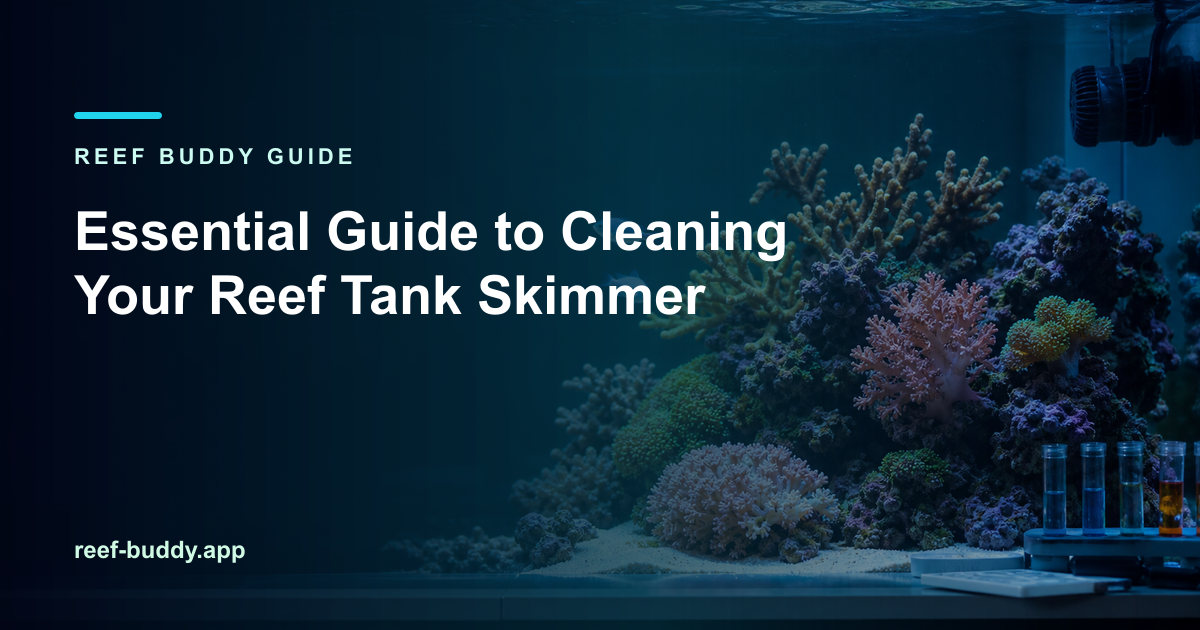 Reef Buddy article cover for “Essential Guide to Cleaning Your Reef Tank Skimmer” over a home reef aquarium