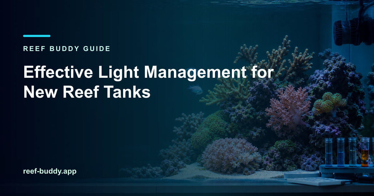 Reef Buddy article cover for “Effective Light Management for New Reef Tanks” over a home reef aquarium