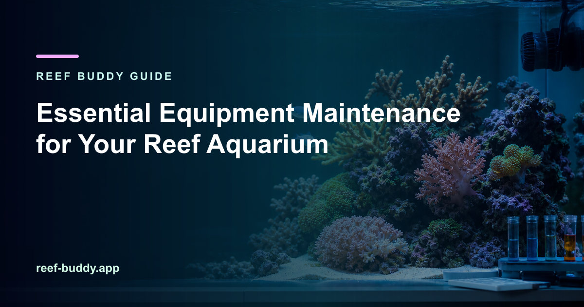 Reef Buddy article cover for “Essential Equipment Maintenance for Your Reef Aquarium” over a home reef aquarium