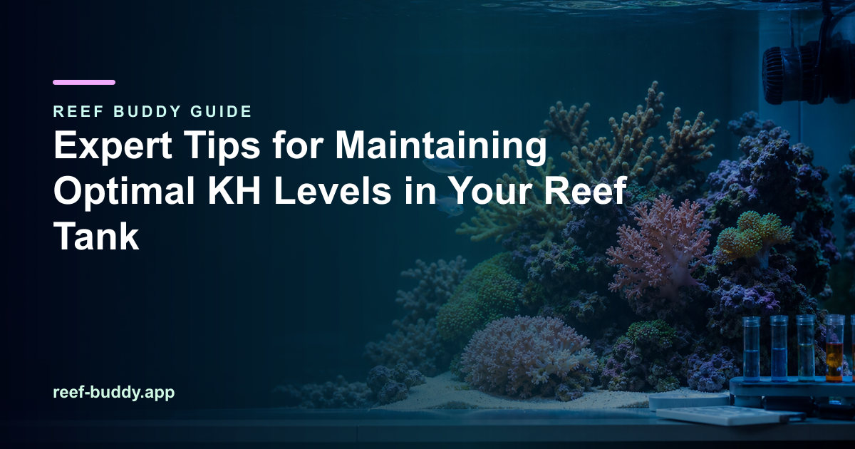 Reef Buddy article cover for “Expert Tips for Maintaining Optimal KH Levels in Your Reef Tank” over a home reef aquarium