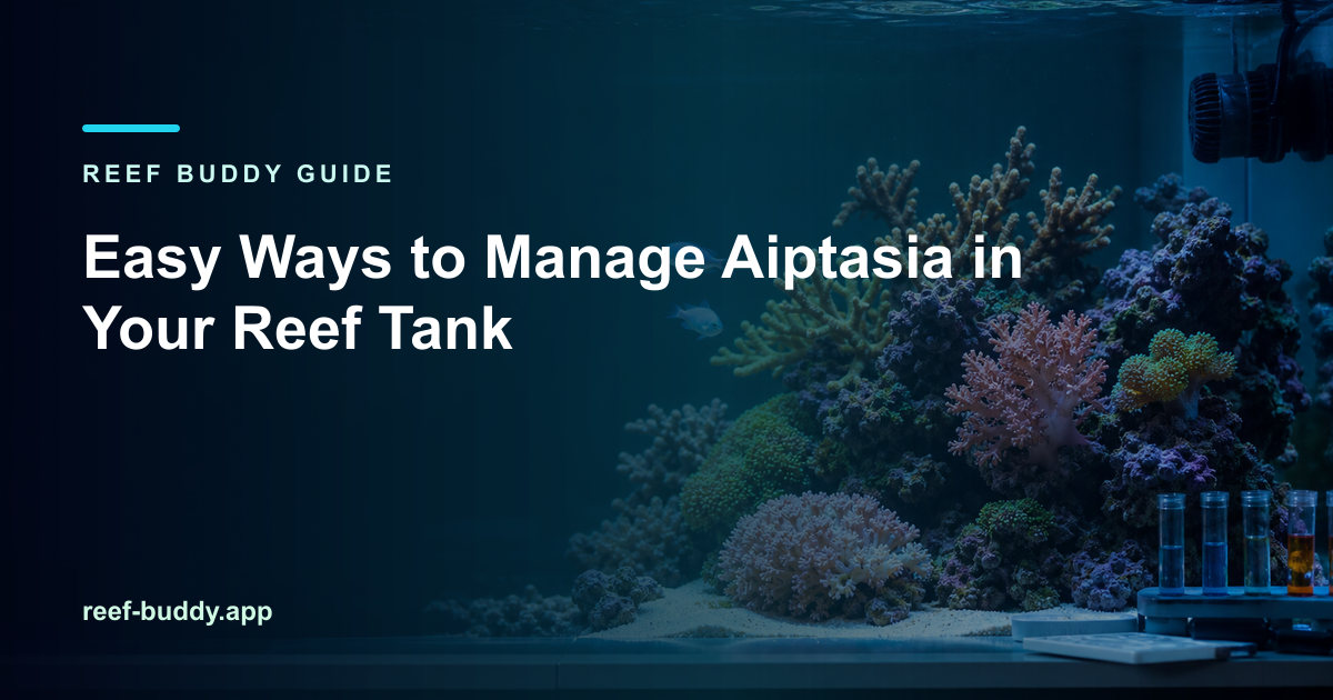 Reef Buddy article cover for “Easy Ways to Manage Aiptasia in Your Reef Tank” over a home reef aquarium