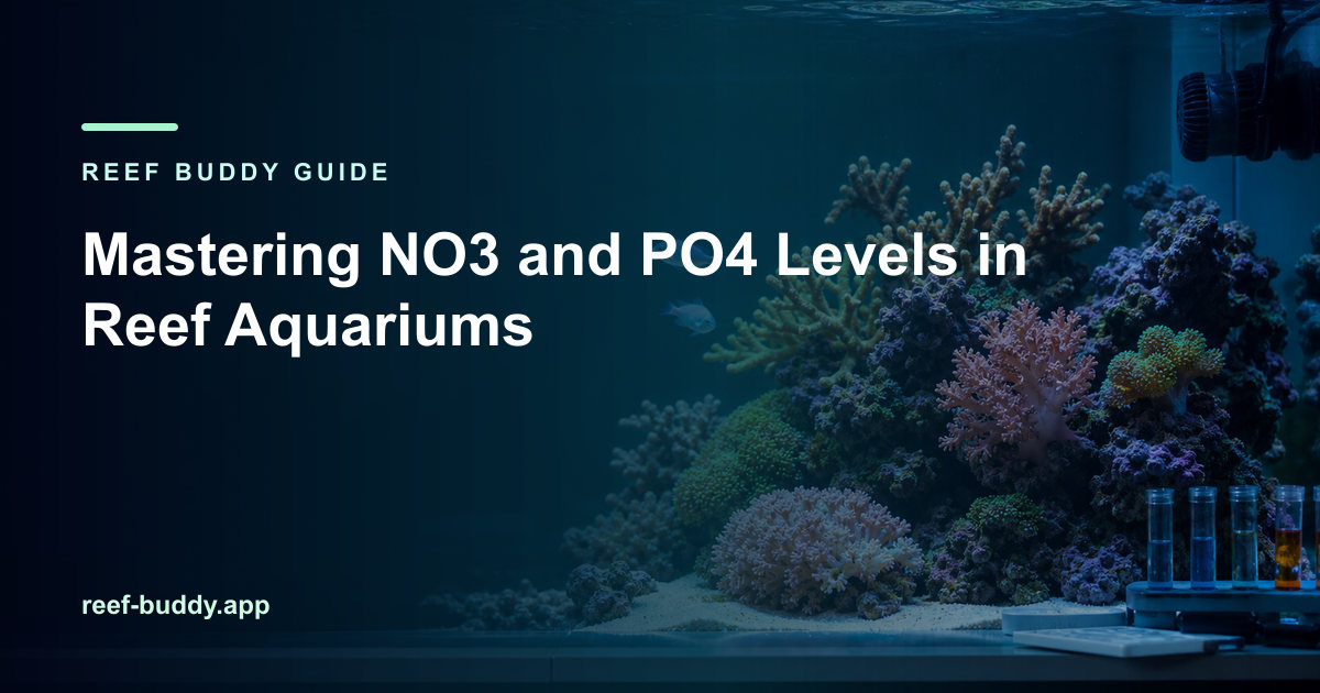 Reef Buddy article cover for “Mastering NO3 and PO4 Levels in Reef Aquariums” over a home reef aquarium