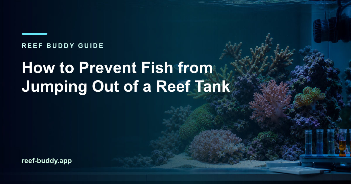 Reef Buddy article cover for “How to Prevent Fish from Jumping Out of a Reef Tank” over a home reef aquarium