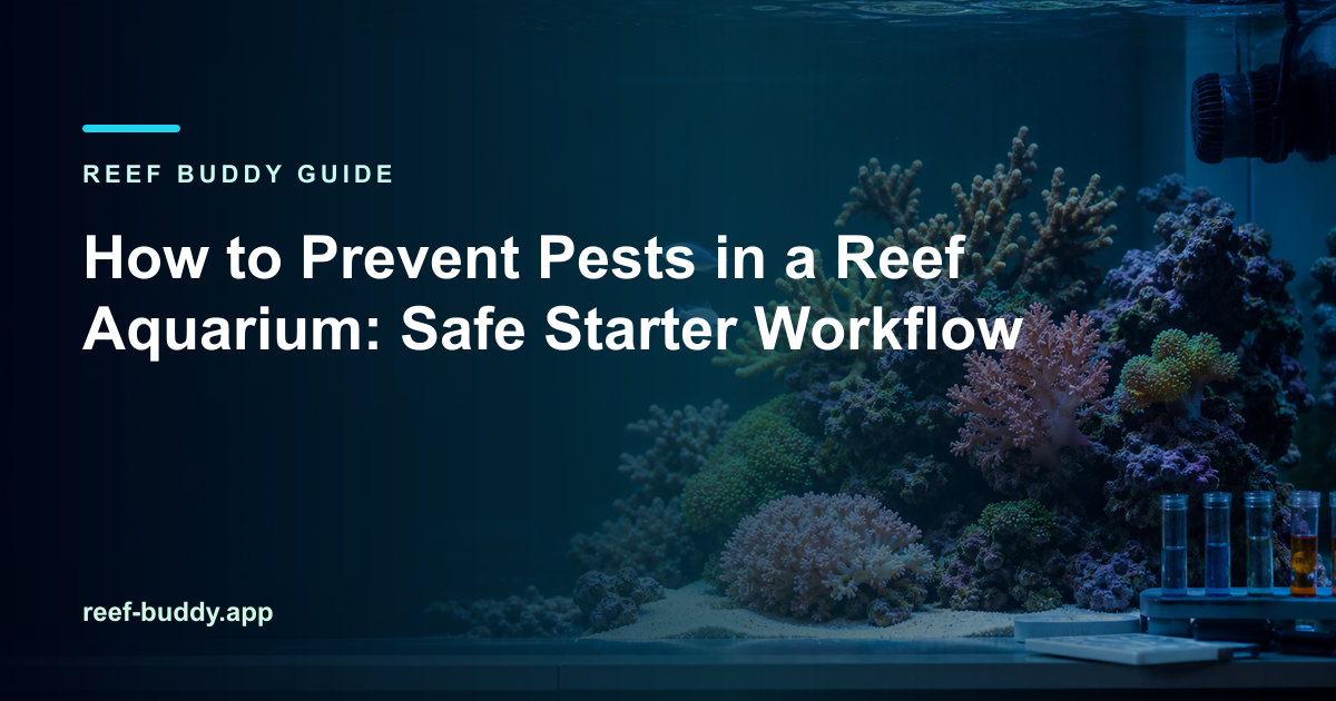 Reef Buddy article cover for “How to Prevent Pests in a Reef Aquarium: Safe Starter Workflow” over a home reef aquarium