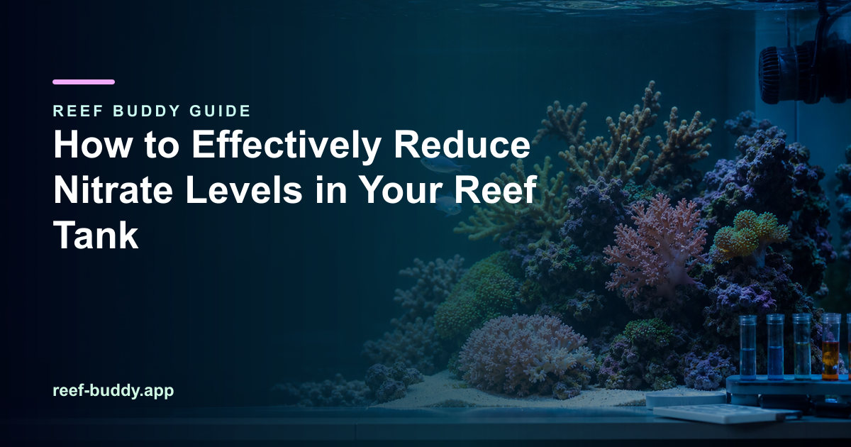 Reef Buddy article cover for “How to Effectively Reduce Nitrate Levels in Your Reef Tank” over a home reef aquarium