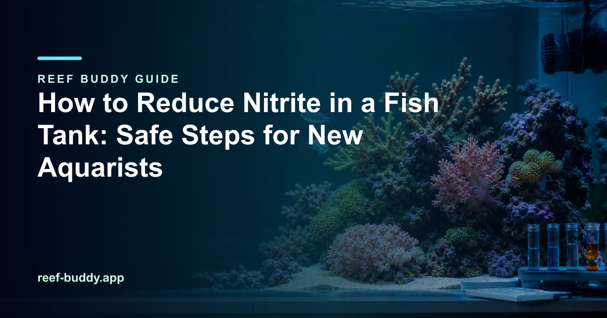 Reef Buddy article cover for “How to Reduce Nitrite in a Fish Tank: Safe Steps for New Aquarists” over a home reef aquarium