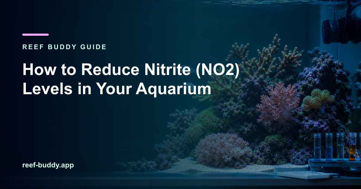 Reef Buddy article cover for “How to Reduce Nitrite (NO2) Levels in Your Aquarium” over a home reef aquarium