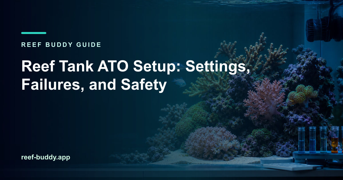 Reef Buddy article cover for “Reef Tank ATO Setup: Settings, Failures, and Safety” over a home reef aquarium