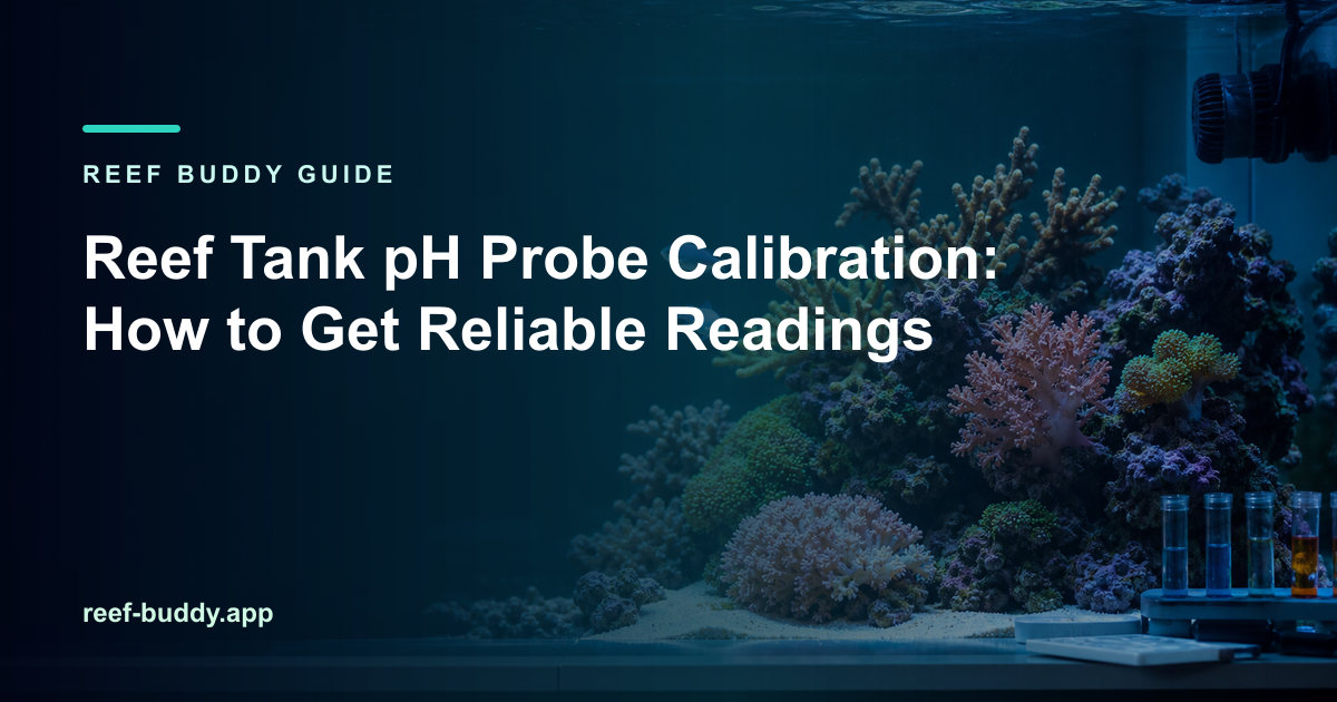 Reef Buddy article cover for “Reef Tank pH Probe Calibration: How to Get Reliable Readings” over a home reef aquarium