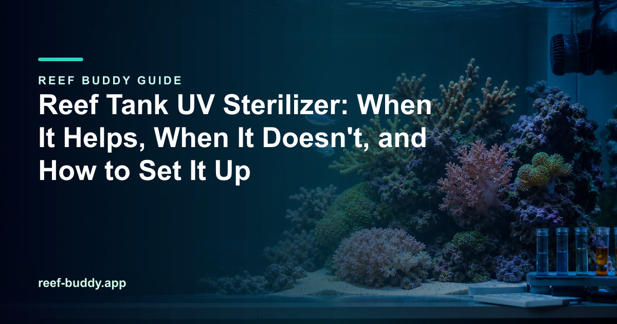 Reef Buddy article cover for “Reef Tank UV Sterilizer: When It Helps, When It Doesn't, and How to Set It Up” over a home reef aquarium