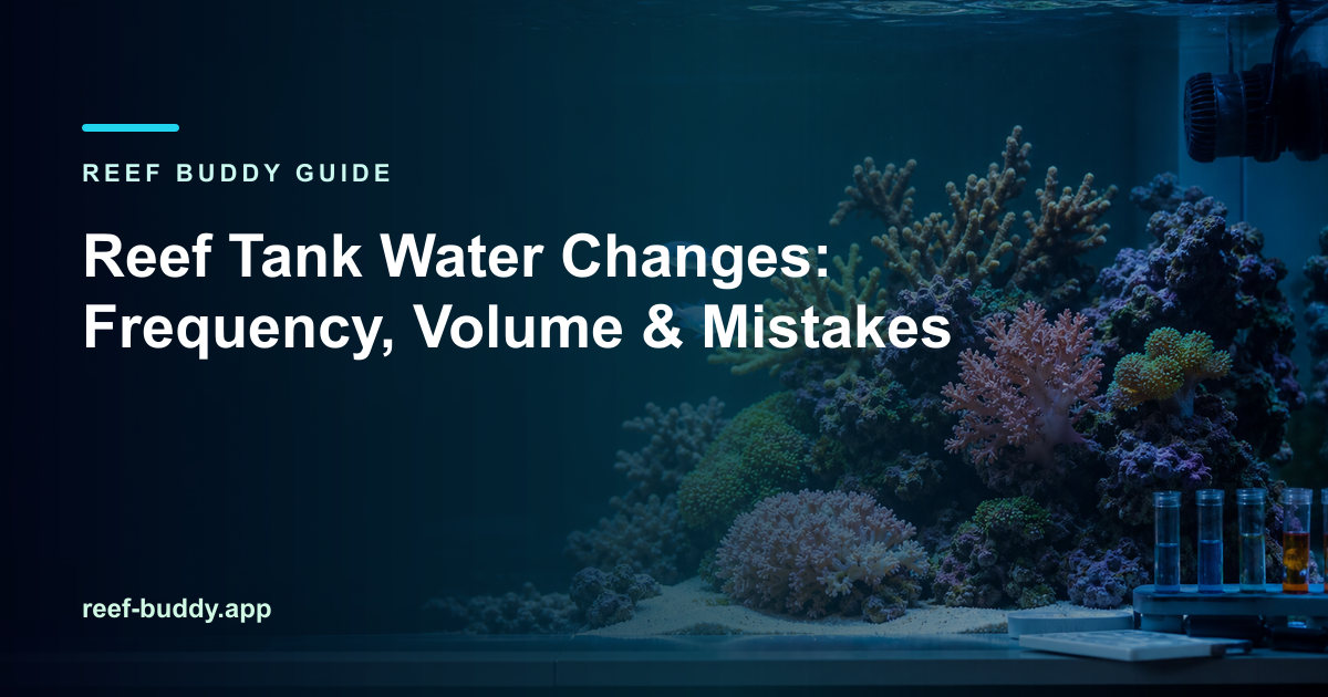 Reef Buddy article cover for “Reef Tank Water Changes: Frequency, Volume & Mistakes” over a home reef aquarium